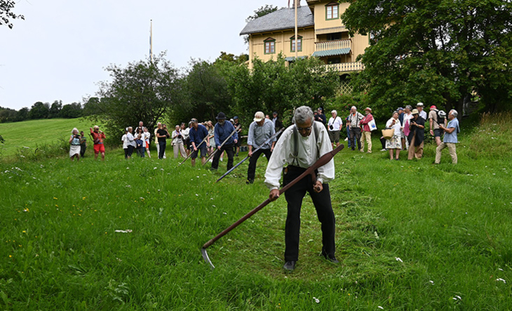 Skårgang på Aulestad .jpg