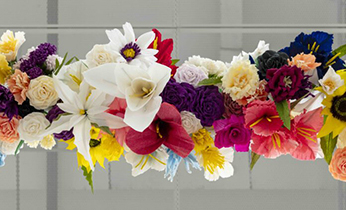 L 2025_06_Nitja_Taterlandet_Papirblomster346X210jpg.jpg